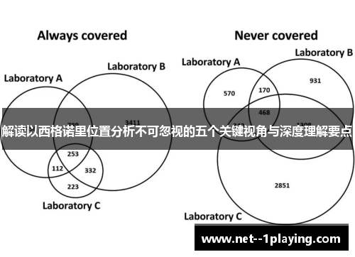 解读以西格诺里位置分析不可忽视的五个关键视角与深度理解要点
