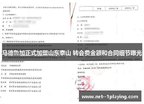 马德鲁加正式加盟山东泰山 转会费金额和合同细节曝光